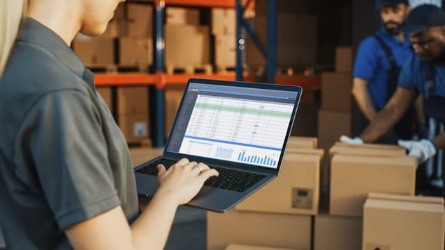 Total Inventory Definition What is Inventory? Definition, Importance, Examples & Types